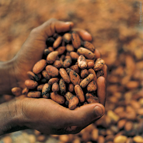 The commodity of the week: Cocoa in the throes of volatility